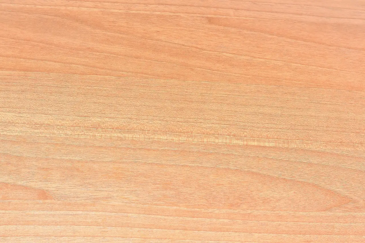 An empty light wooden table top in soft daylight